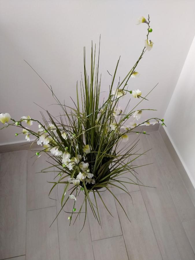 Apartman Avsec Krk Town Esterno foto
